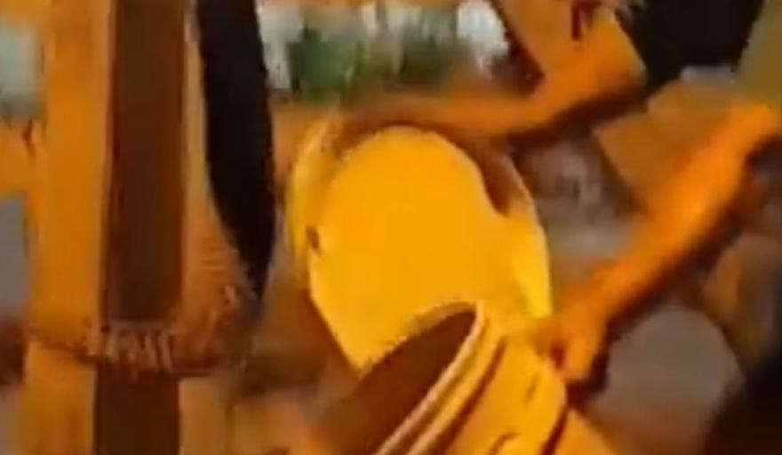 La Costa: alertan por la aparición de culebras y serpientes en zonas rurales
